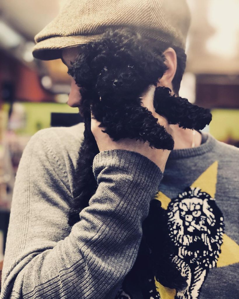 Aaron Taylor-Johnson with their puppy 