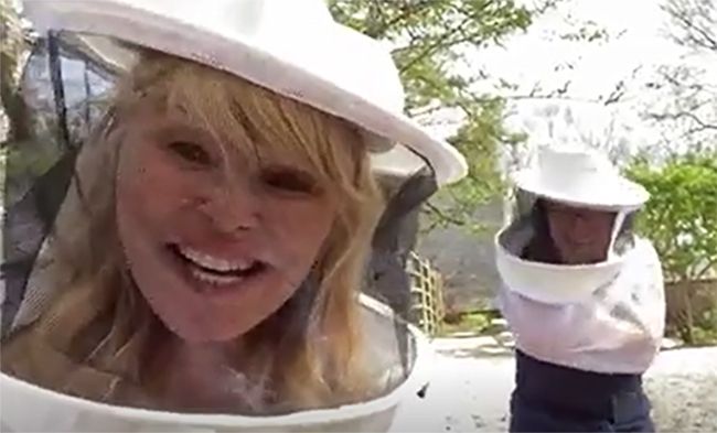 christie brinkley beekeeper uniform