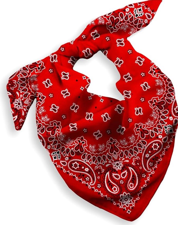 Amazon Paisley Bandana Neckerchief