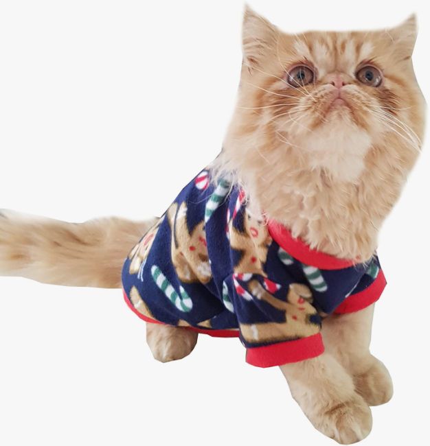 christmas jumpers for cats fleece