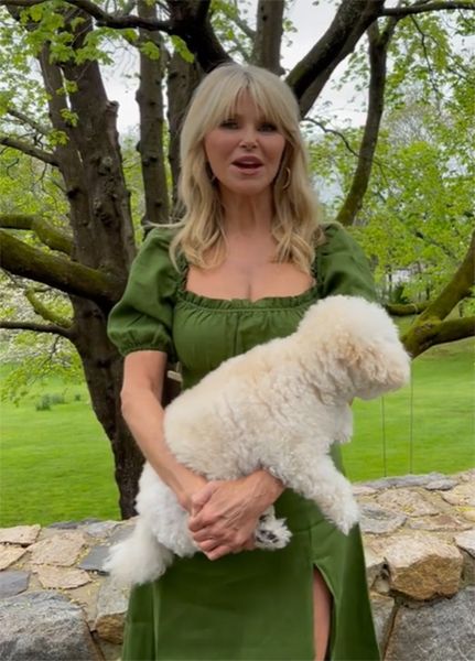 christie brinkley green dress holding dog