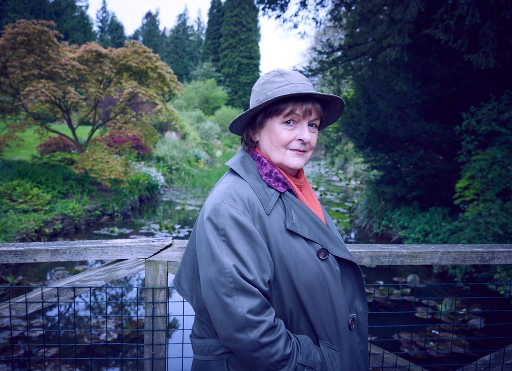 BRENDA BLETHYN as DCI Vera Stanhope