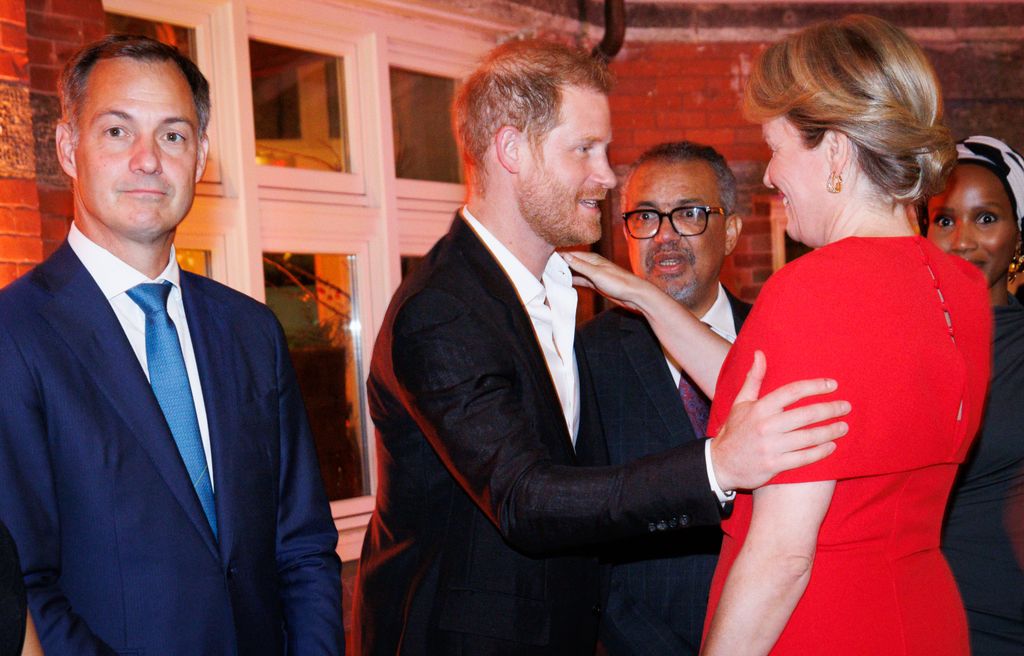 Prince Harry greeting Queen Mathilde