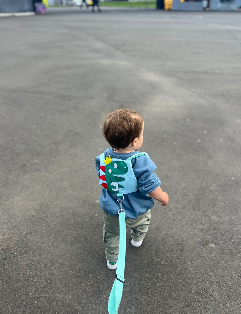 small boy with toddler reins on