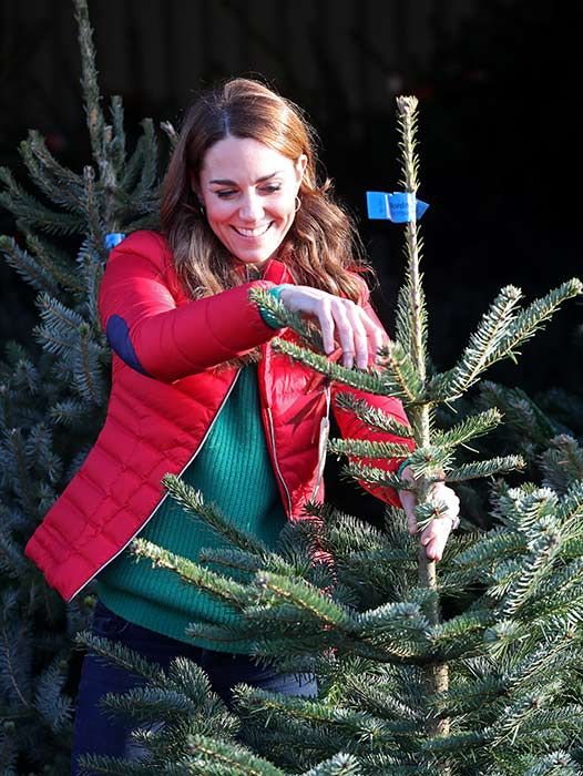 Kate Middleton xmas tree farm