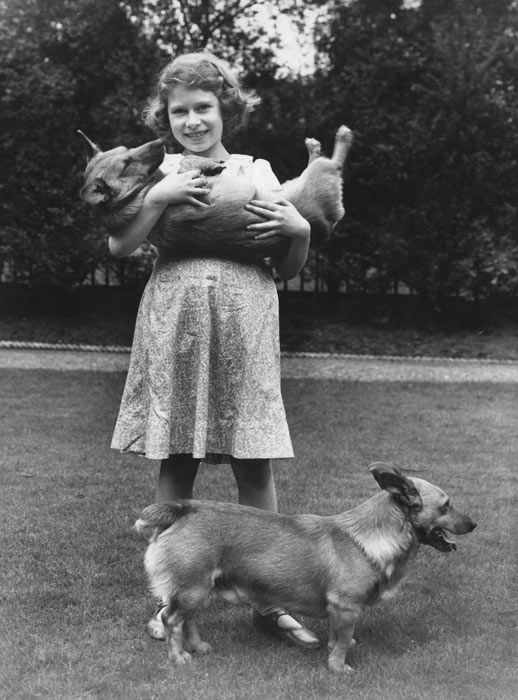 queen young with dogs