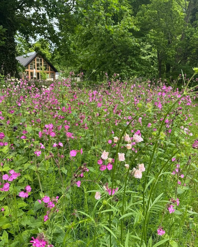 The garden at Queen Mary of Denmark's residence in Fredensborg Palace