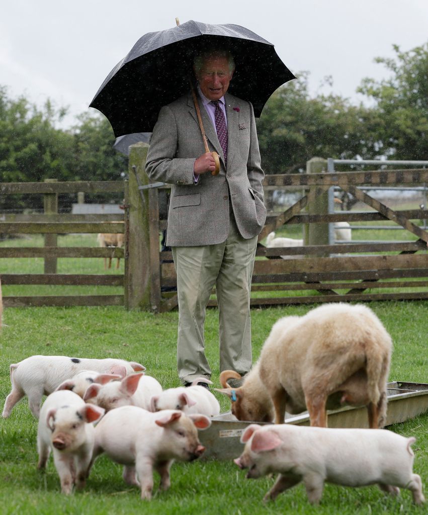 King Charles reacts as he views Gloucestershire Old Spot piglets