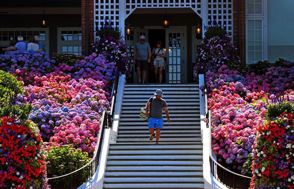 Hydrangeas line the front steps of the Chatham Bars Inn.