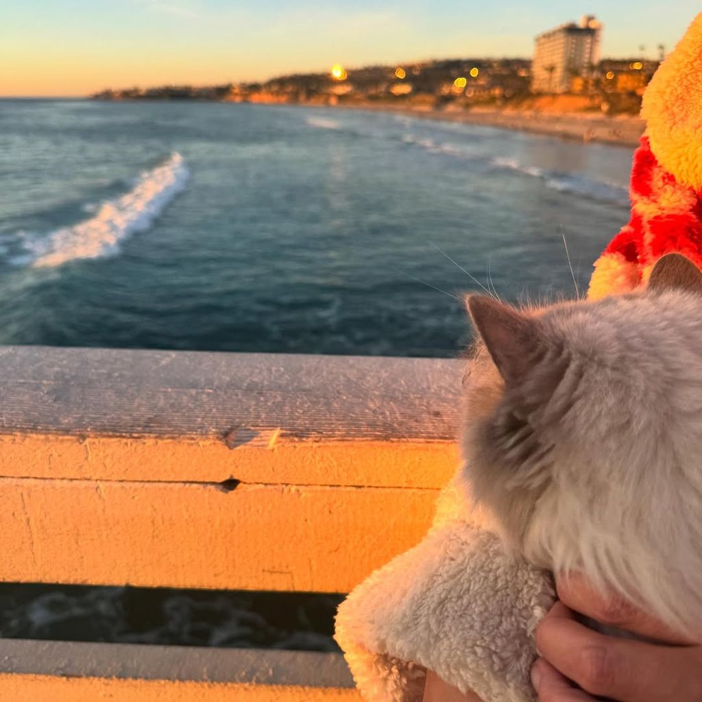 Katie Holmes shared a photo from her vacation on the West Coast, complete with her beloved cat Eleanor 