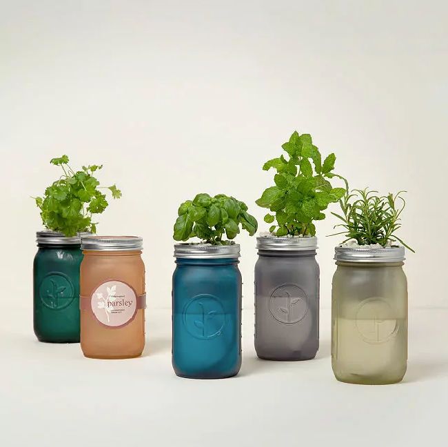 best gifts under 25 dollars mason jar herb garden