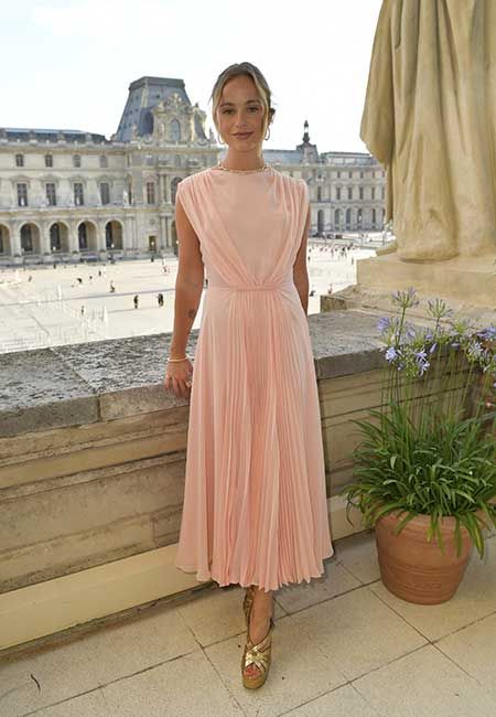 amelia windsor pink long dress
