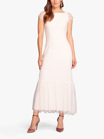 Alie Street Beatrice Lace Dress