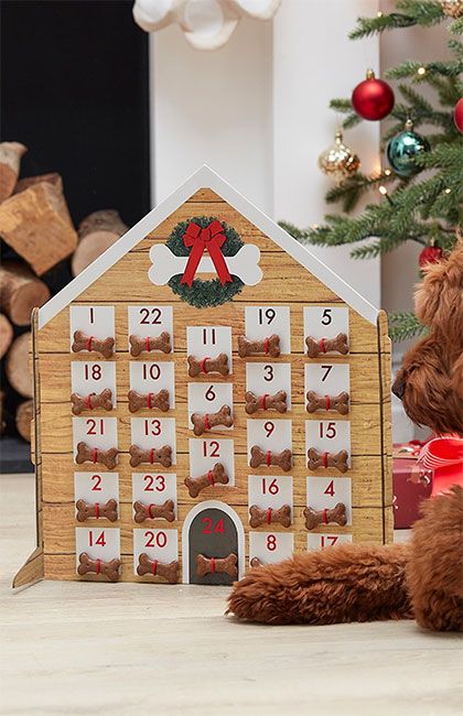 Best Advent Calendar For Dogs & Cats 2022: Calendars Your Pets Will ...