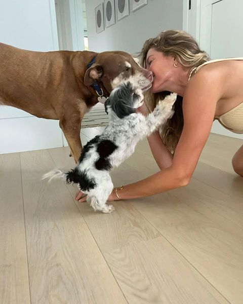 Gisele Bundchen kisses her dogs on Valentines Day