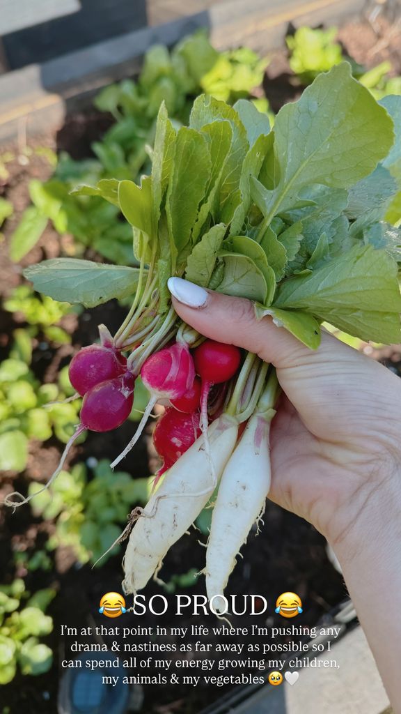 women's hand holding radishes 