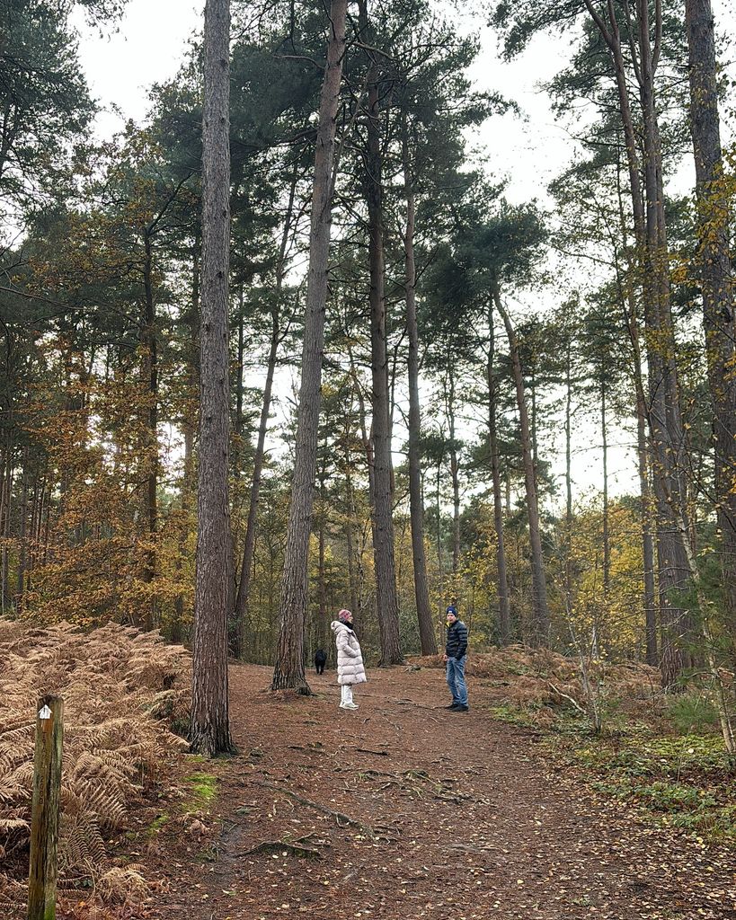 two people walking through wooded area 