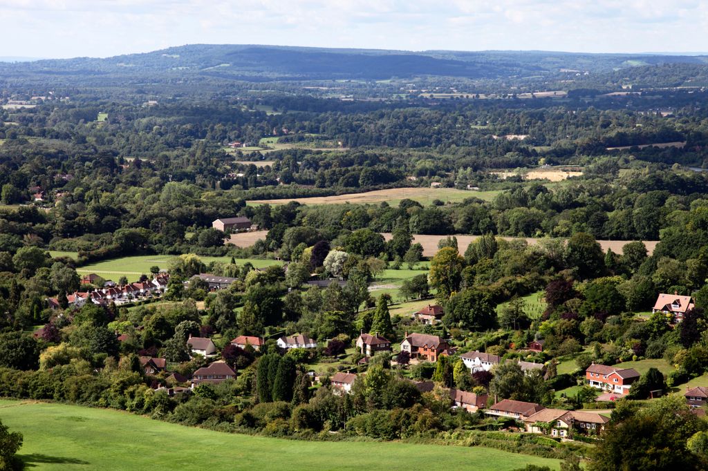 La campagne de Surrey est un succès auprès des célébrités 