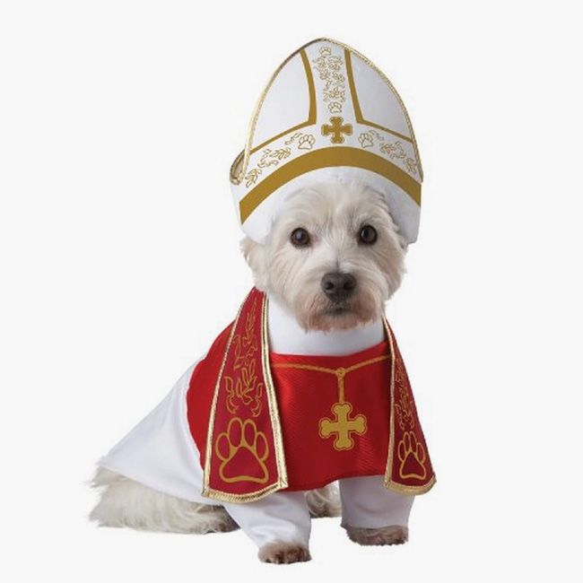 pope dog costume