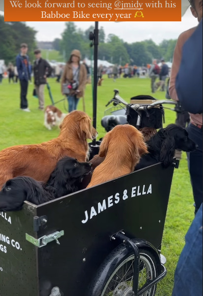 A photo of James Middleton pulling his dogs in a bike