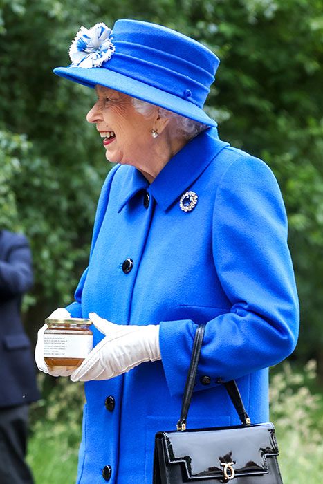 queen receives honey