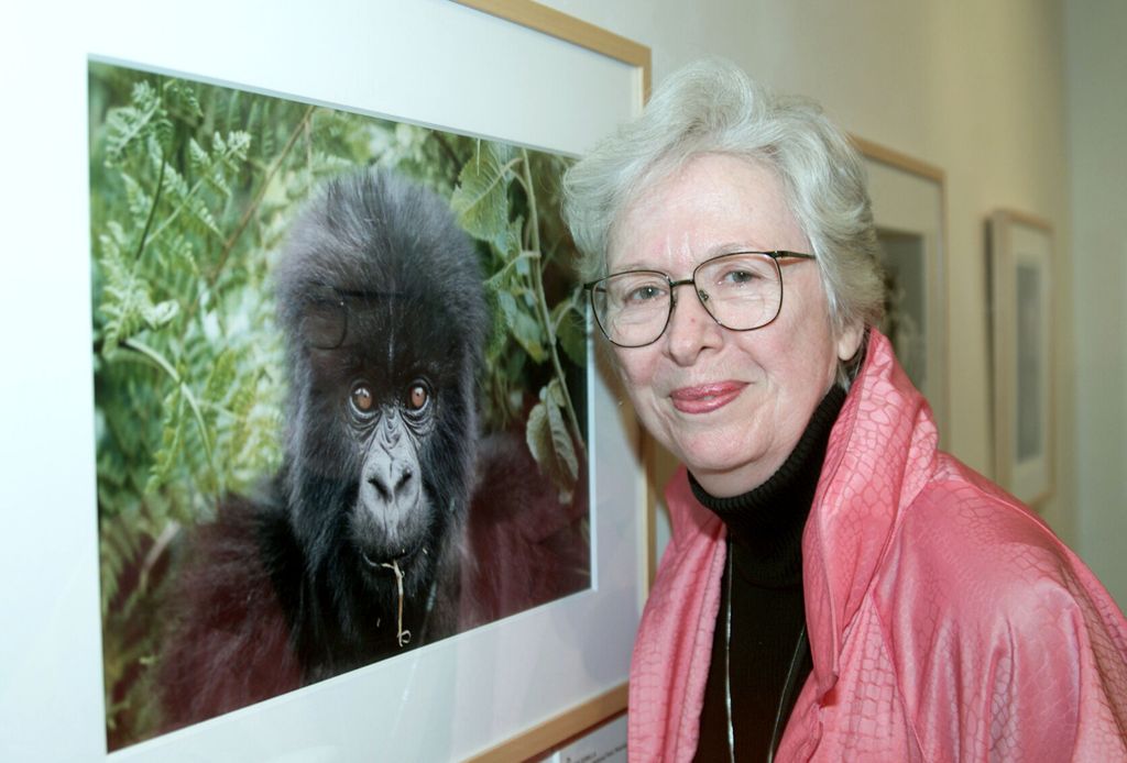 polly holliday pink jacket