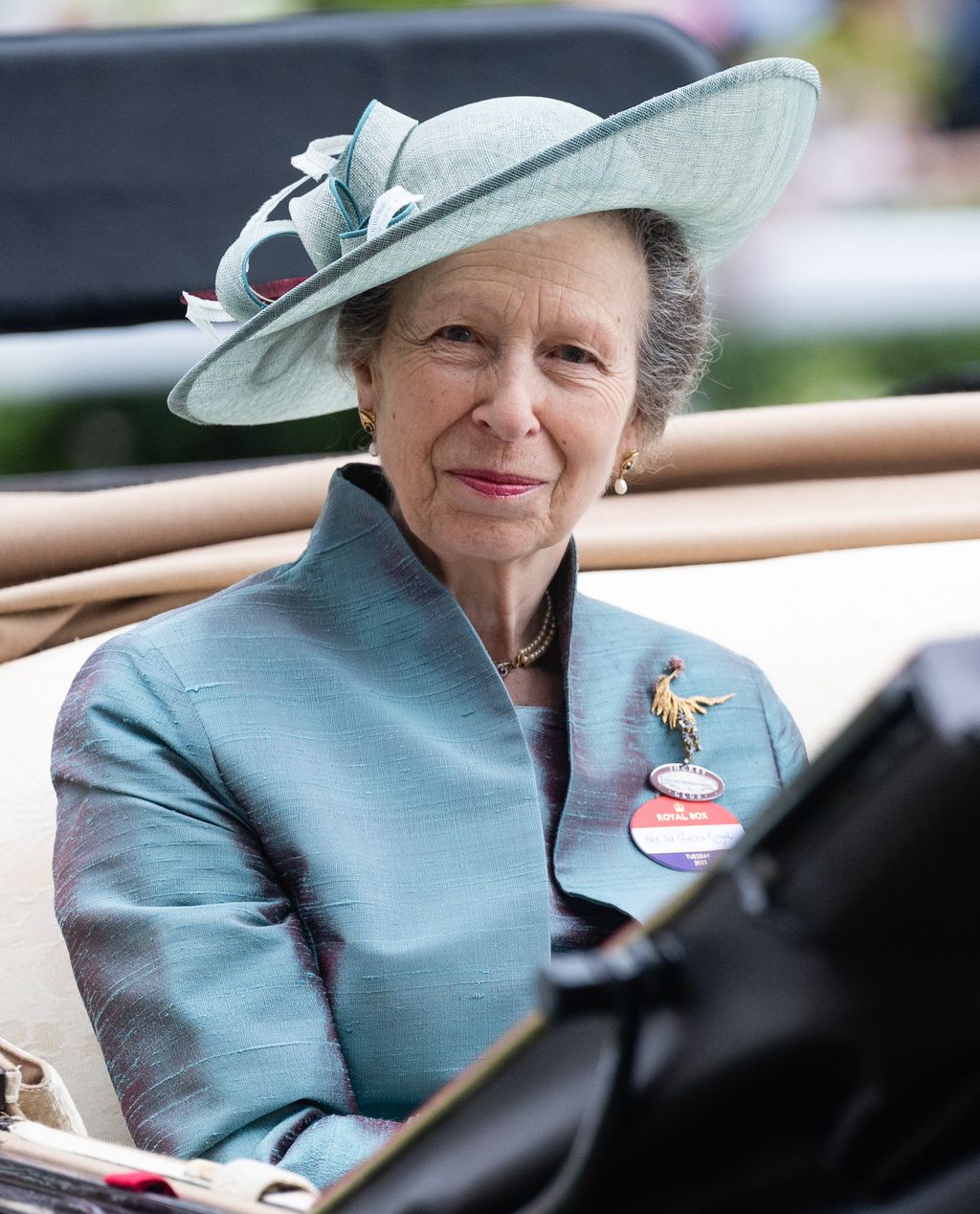 Princess Anne wearing blue at Royal Ascot in 2023