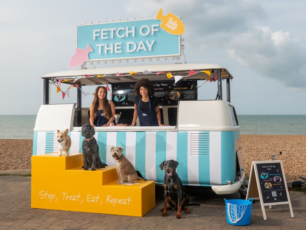 Four dogs on steps in front of a beachside van selling food
