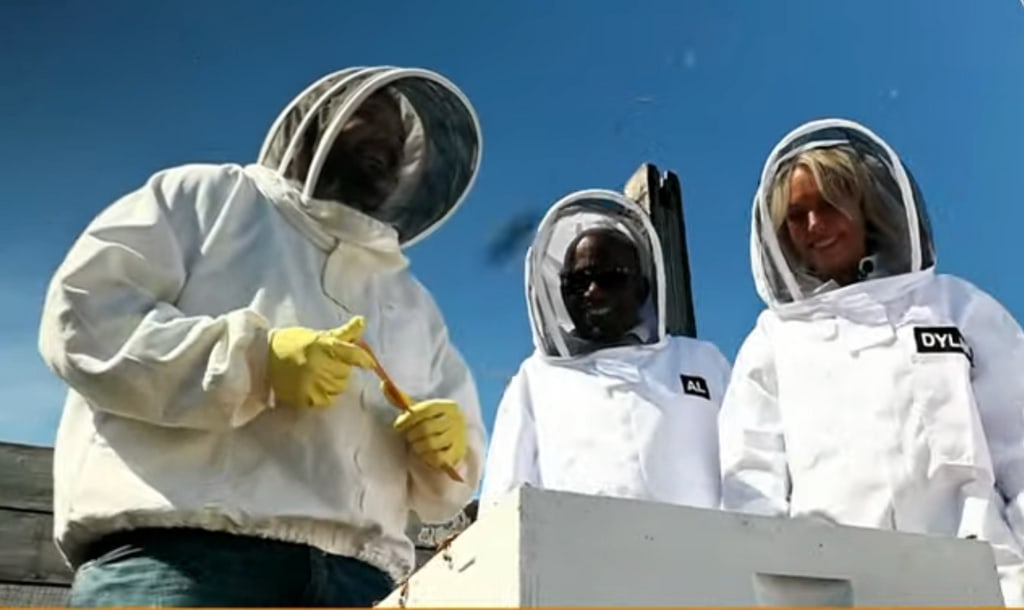The Today Show stars got to work at a bee farm