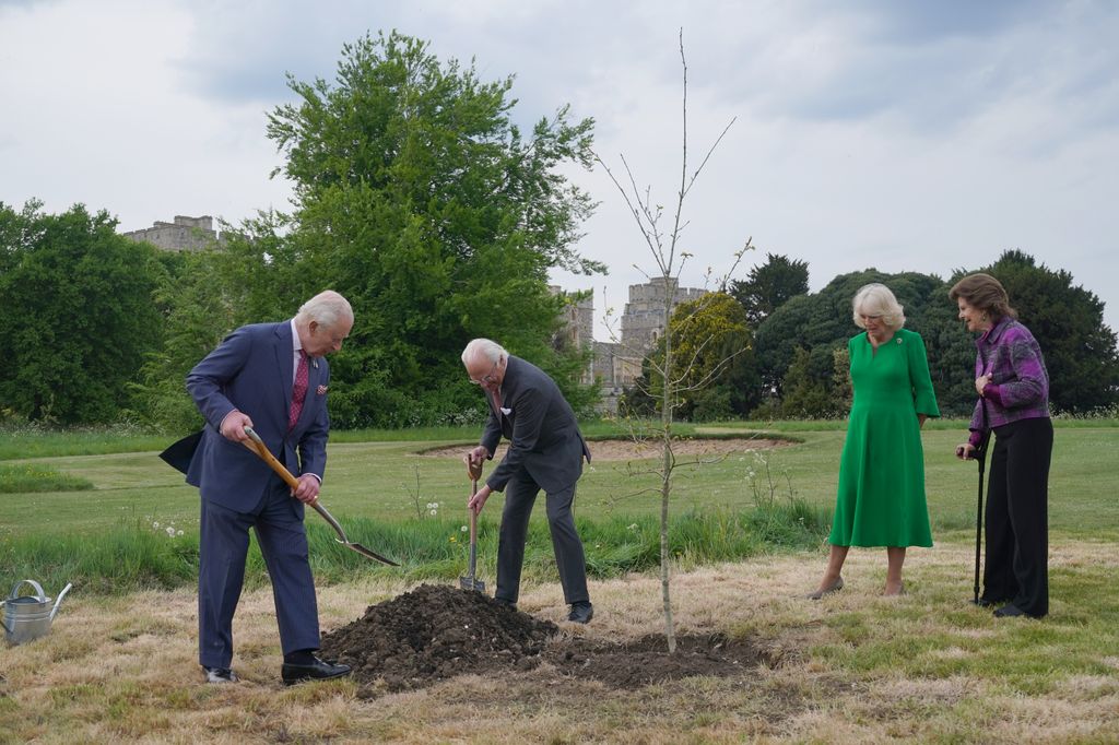 King Charles and King Carl Gustaf watched by their wives as they planted a tree