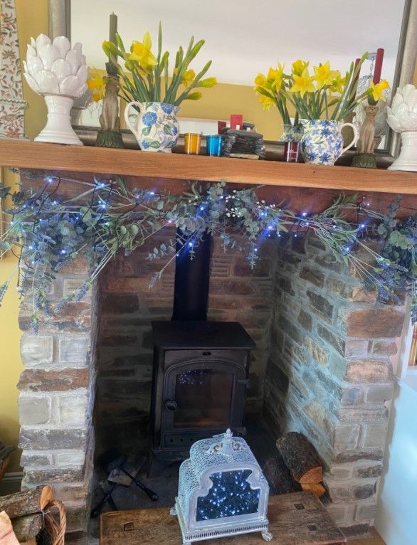 fern britton home fireplace z