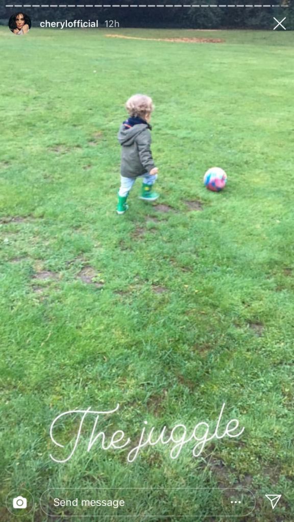 Bear kicking football in garden