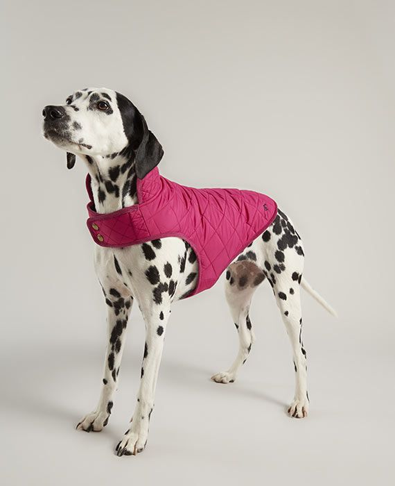 joules pink