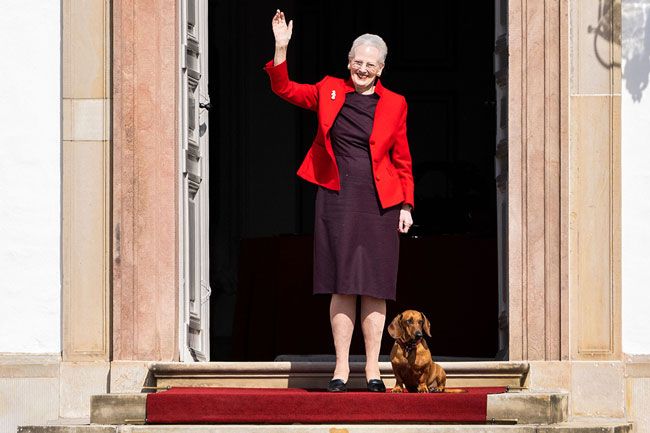 queen margrethe dog