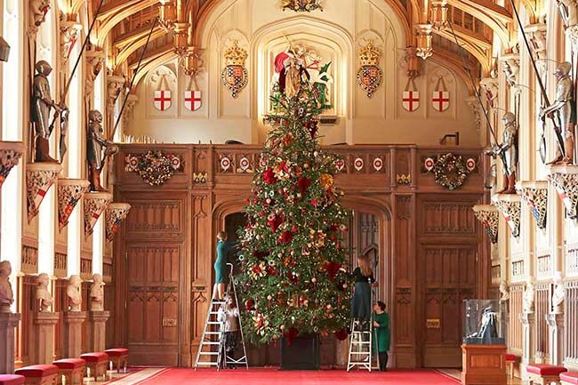 The Queen Christmas tree windsor castle