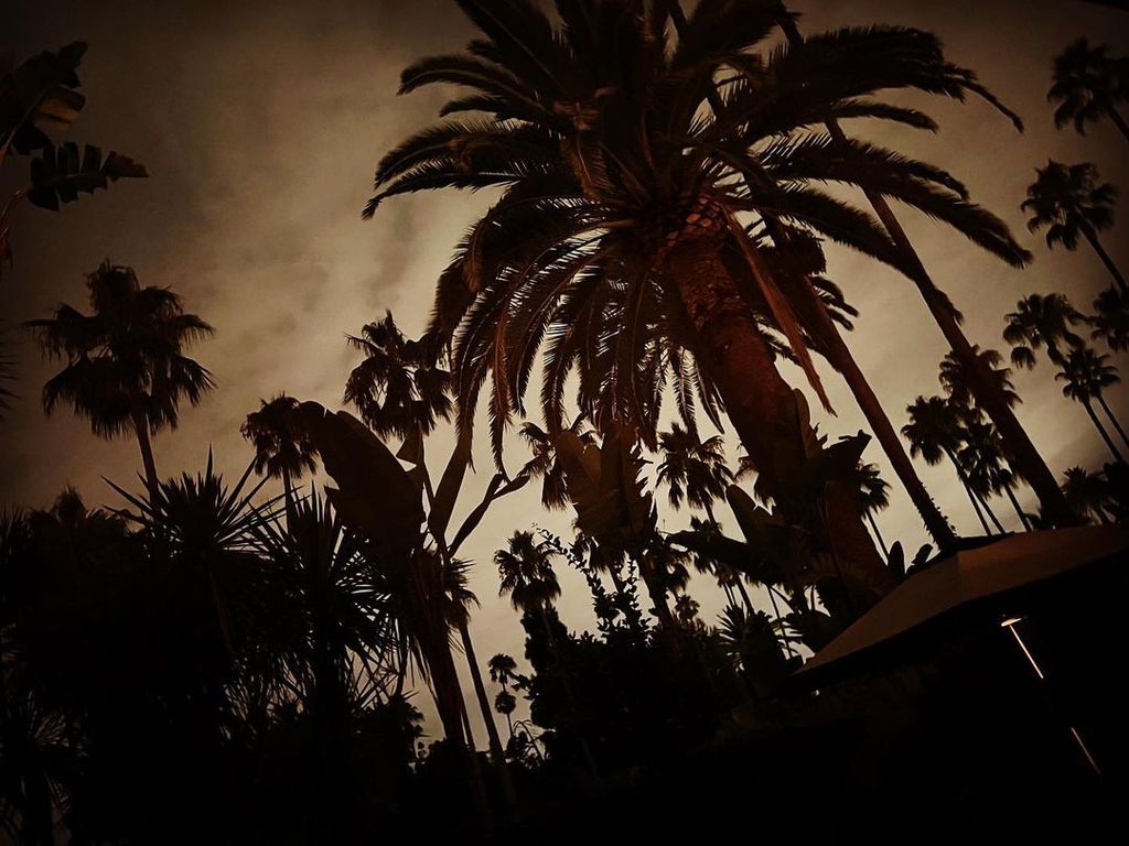 Mariska Hargitay shares a glimpse of the cloud-covered California sky on Instagram