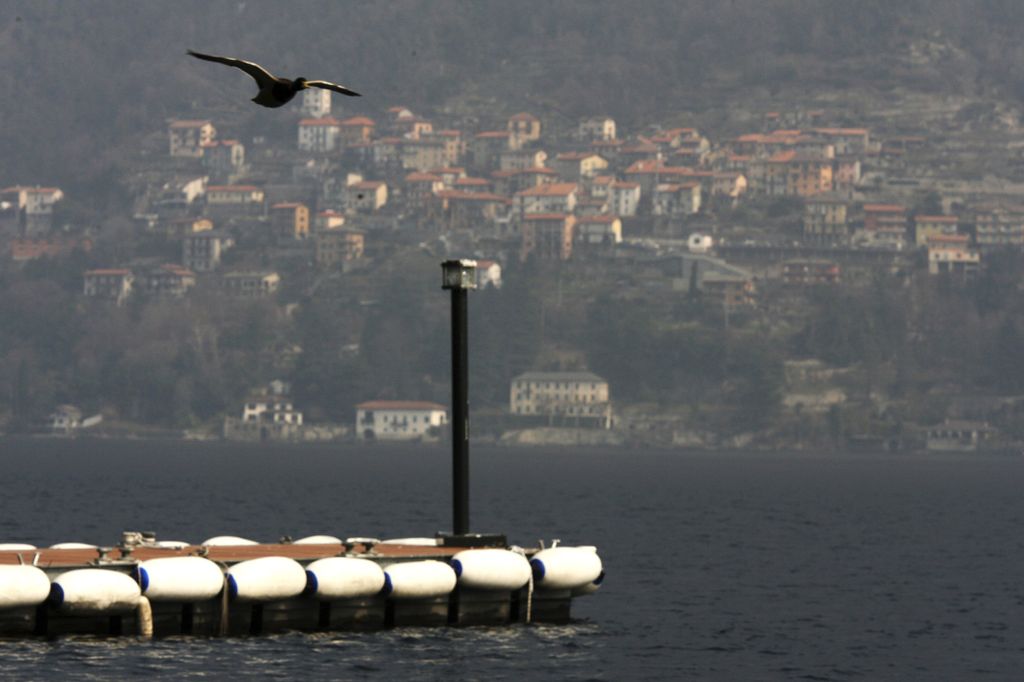 A duck flies over the empty dock at Villa Oleandra, owned by George Clooney, on March 18, 2006 in Como, Italy