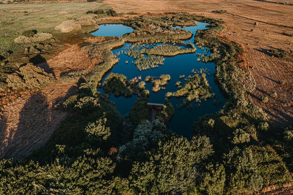 Aerial view of the wetlands at Vilamoura Environmental Park in Portugal, featuring lush greenery, calm blue water pools, and a wooden birdwatching hut nestled among the vegetation