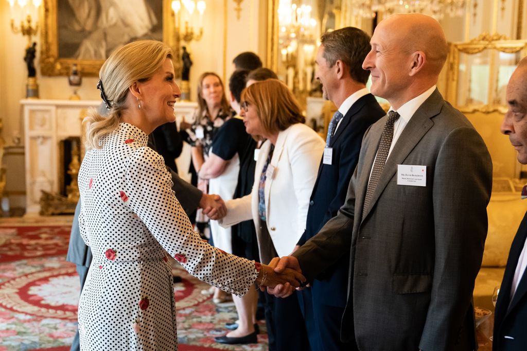 The Duchess of Edinburgh wearing a pretty hairclip and a Beulah London dress as she greets an award winner at Buckingham Palace