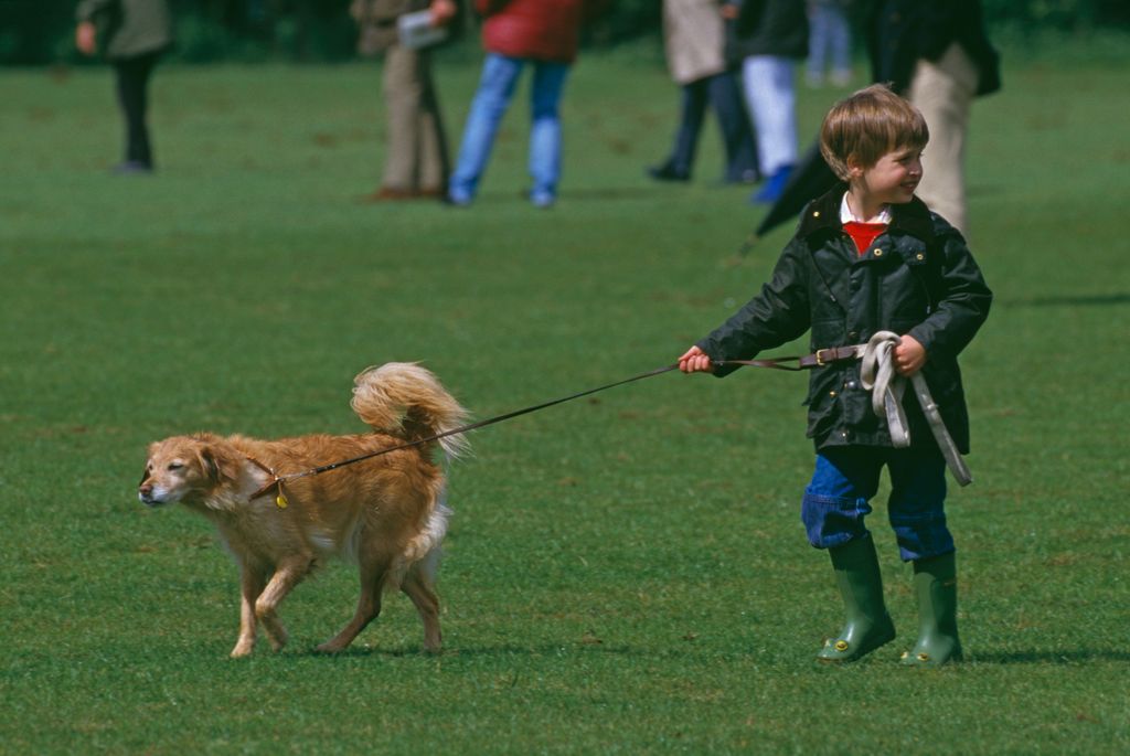Prince William walking a dog at a polo match in Cirencester, UK, 6th June 1987