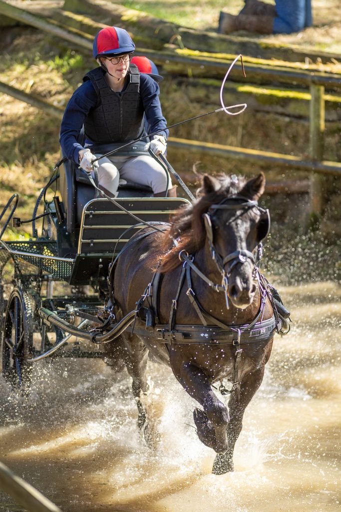 louise carriage driving 