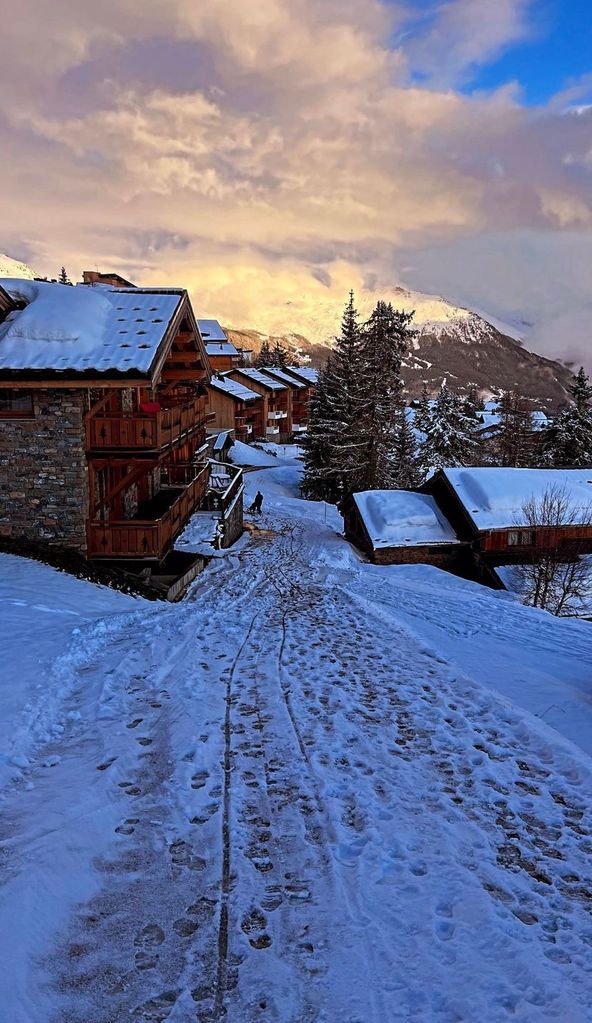 snowy ski cabins