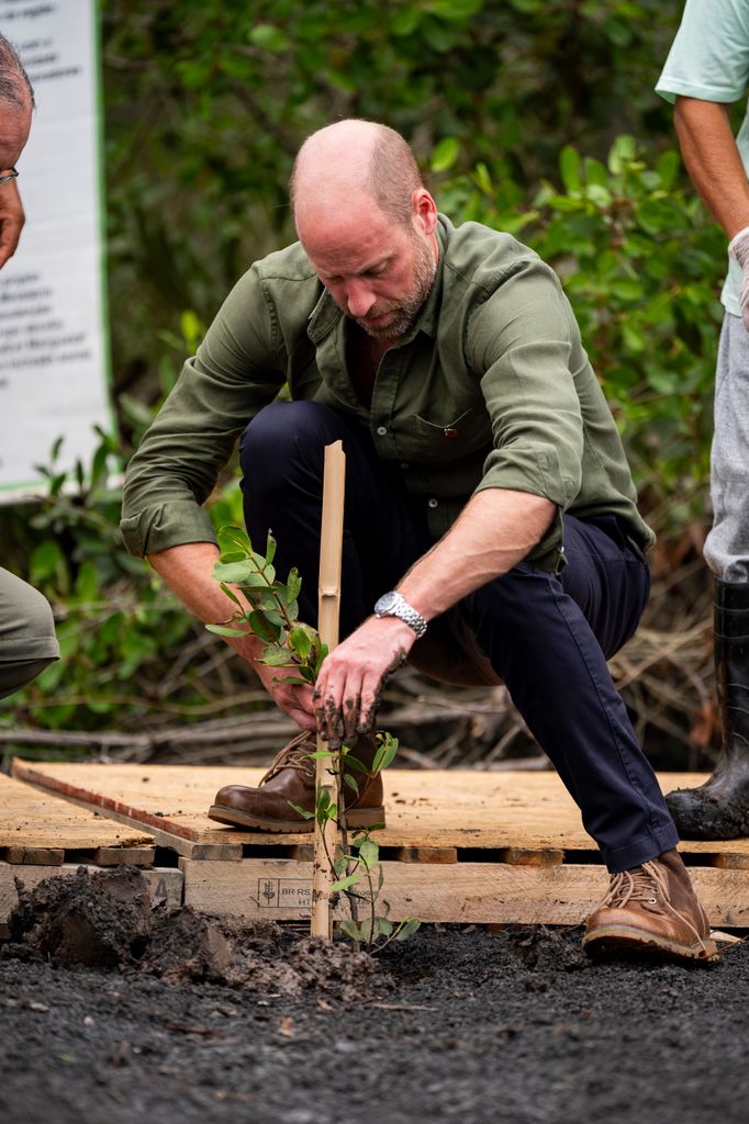 Prince William plants a tree
