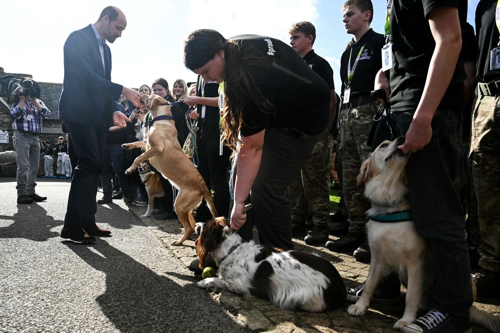 William met some furry friends in Cornwall