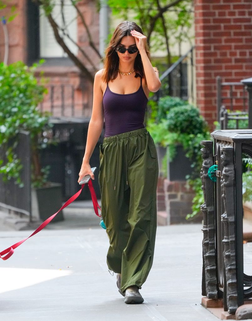 Emily Ratajkowski walking her dog on street