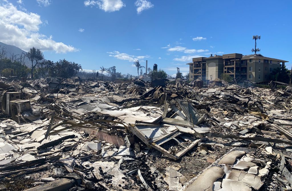 maui fire aftermath