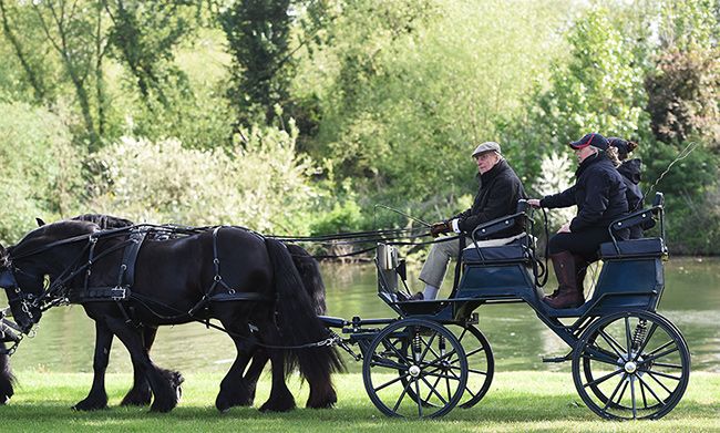 prince philip carriage driving