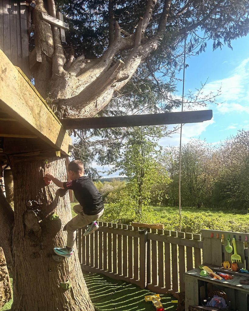 young boy scaling tree 