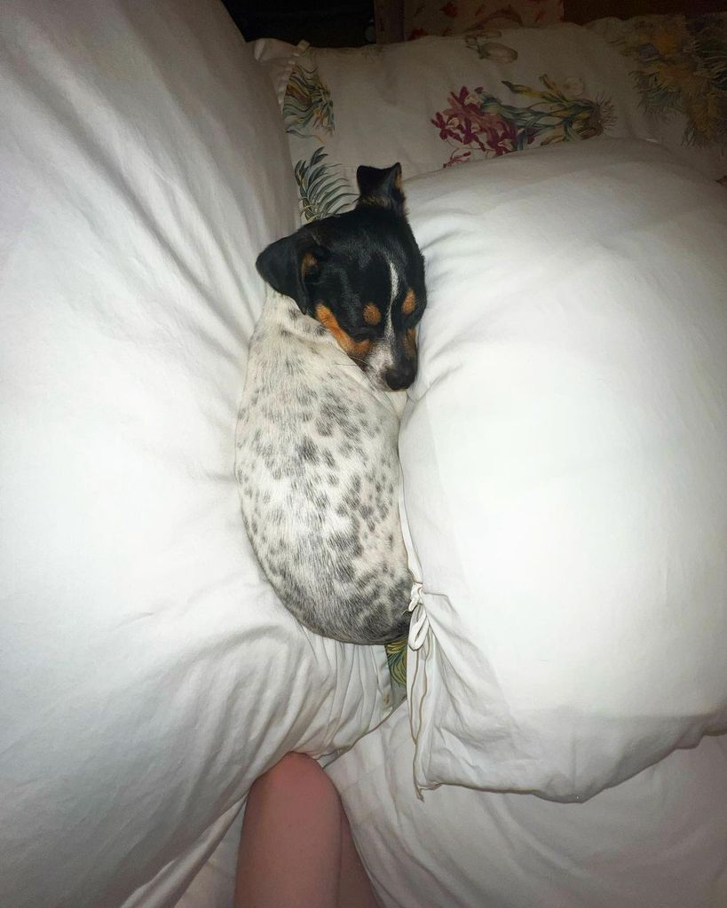 The model shared another cute photo of Jerry sleeping on her bed
