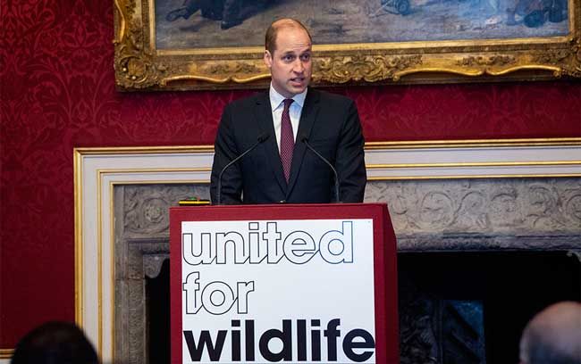 william united for wildlife